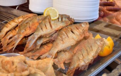 Why Fish Is Better Than Other Meat?